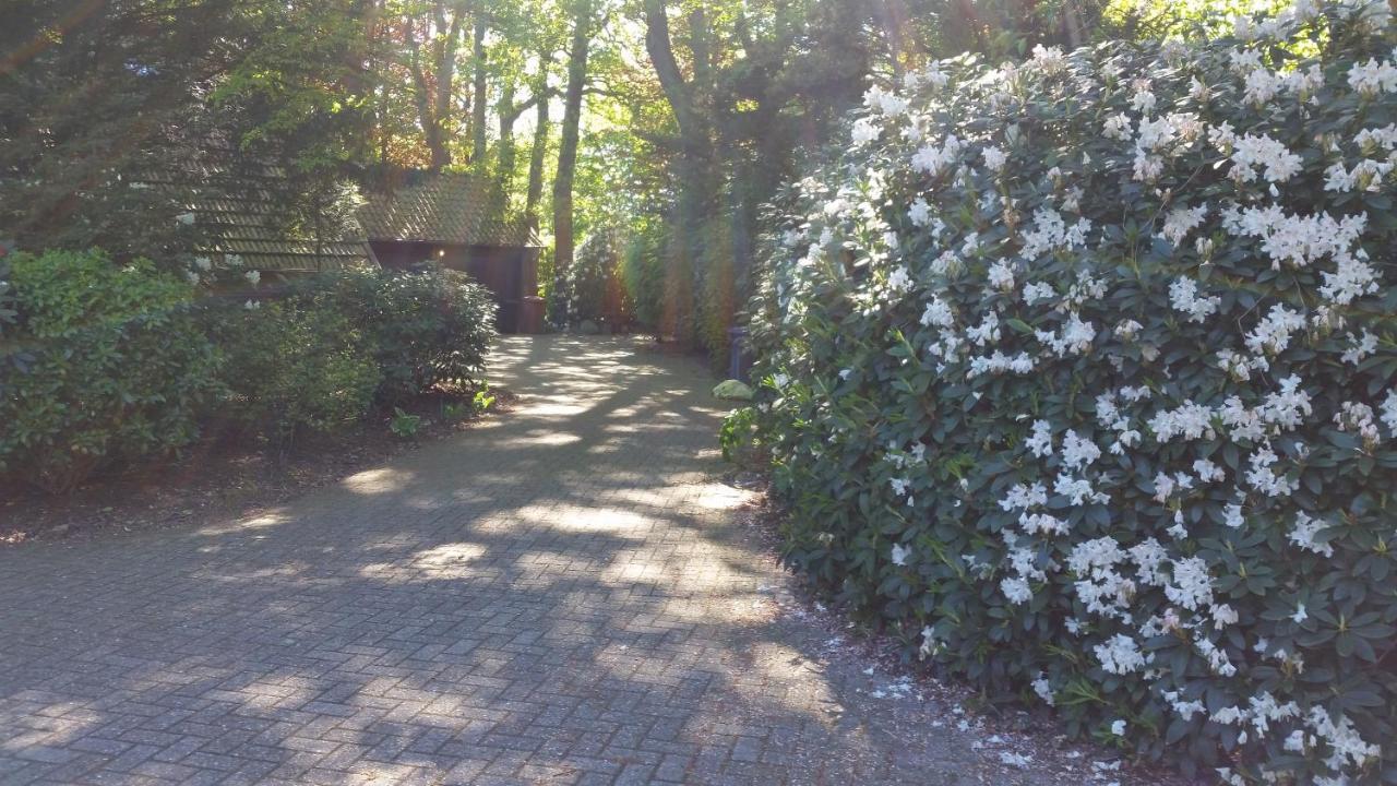 Ferienwohnung Morgensonne Westerstede Esterno foto