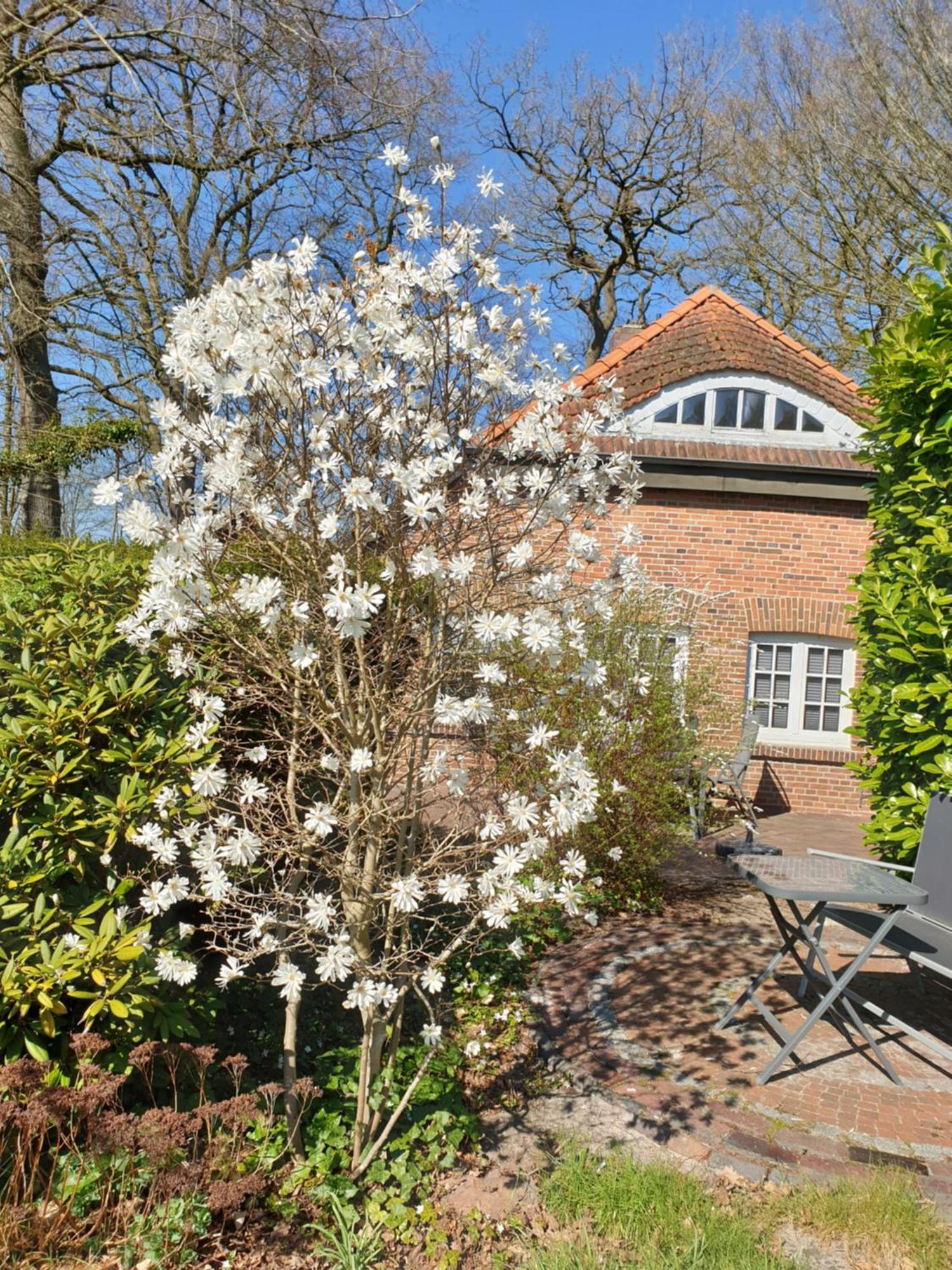 Ferienwohnung Morgensonne Westerstede Esterno foto